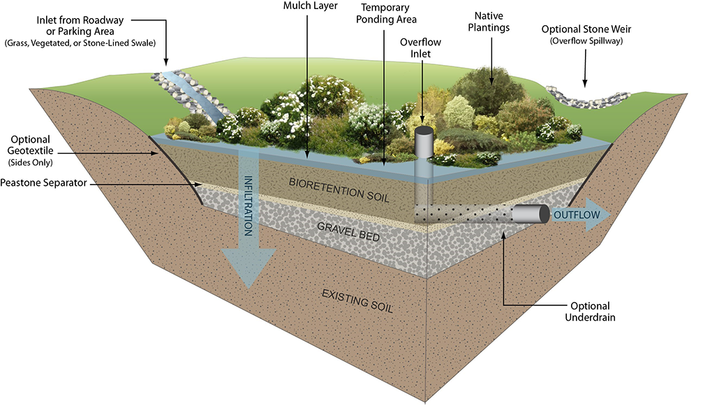 a diagram showing the layers of soil and gravel used to filter water in rain gardens