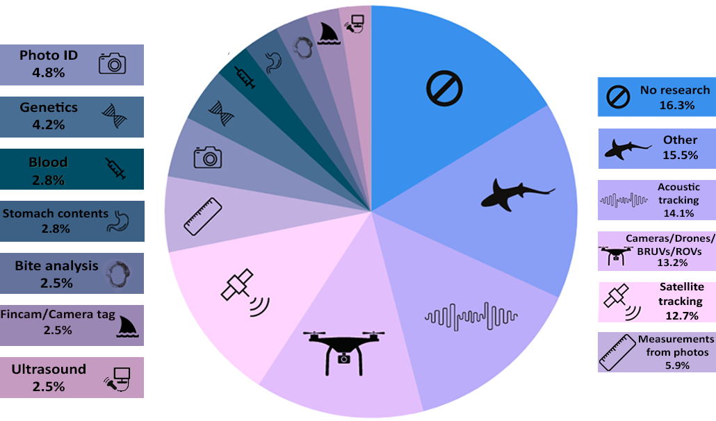 a pi graph showing how often different research methods were mentioned in studying sharks