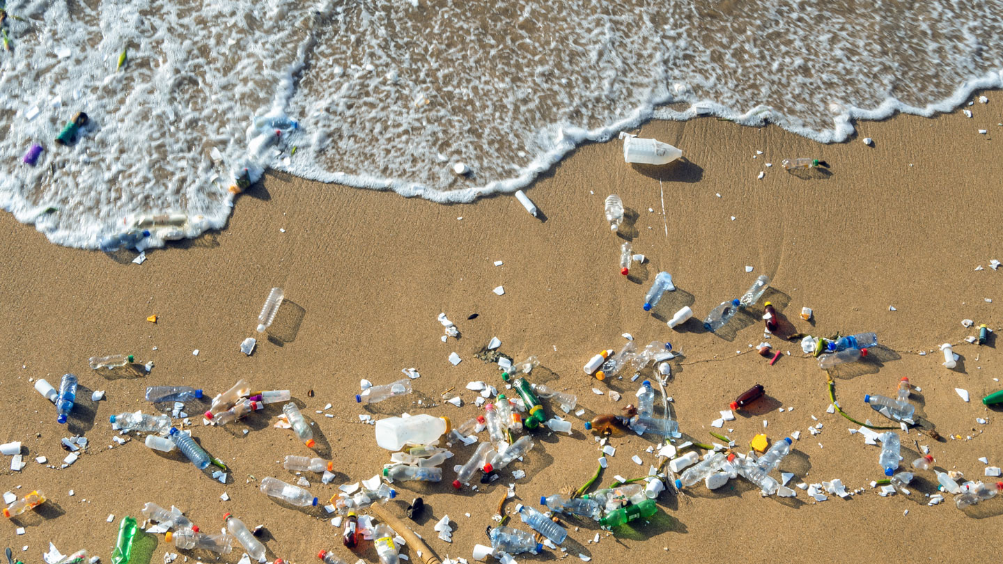 Tiny swimming robots may help clean up a microplastics mess | Science News  for Students