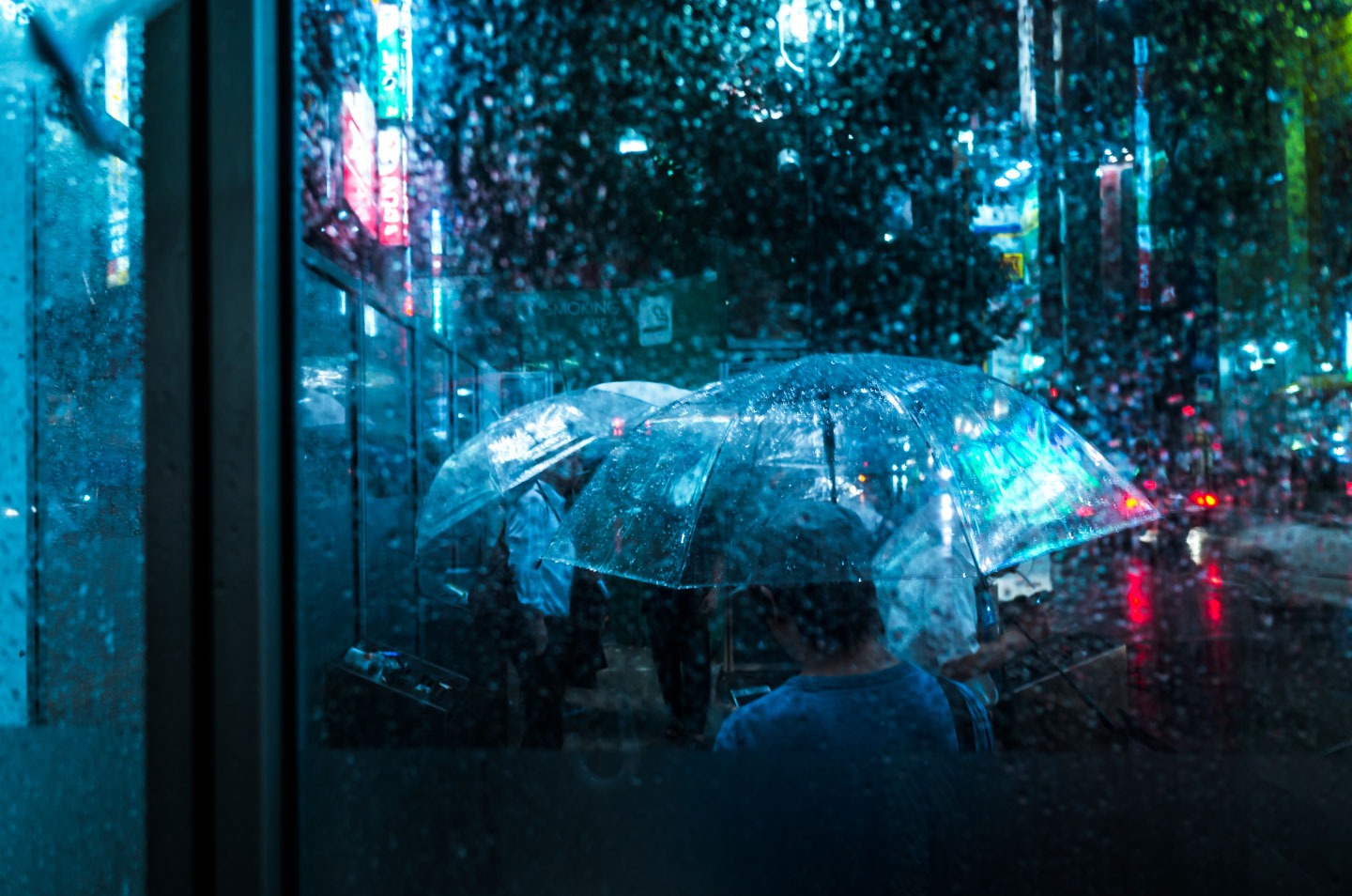 rain pours on people carrying umbrellas in Japan