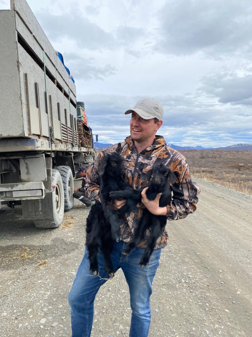 Nikita Zimov holds two baby goats 