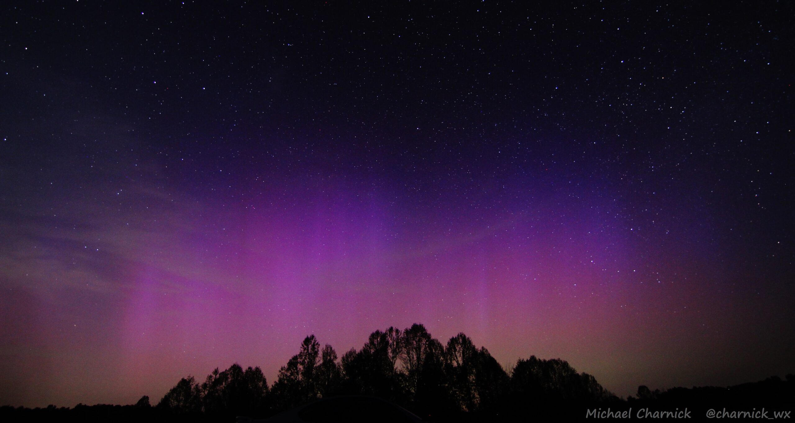 a pink and purple aurora shines in the night sky over a dark silhouette of trees