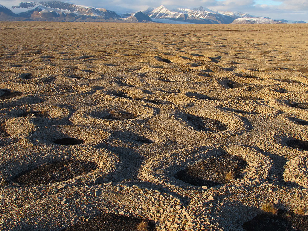 circluar raised stone patterns decorate a gravelly landscape in front of a gorgeous mountain range