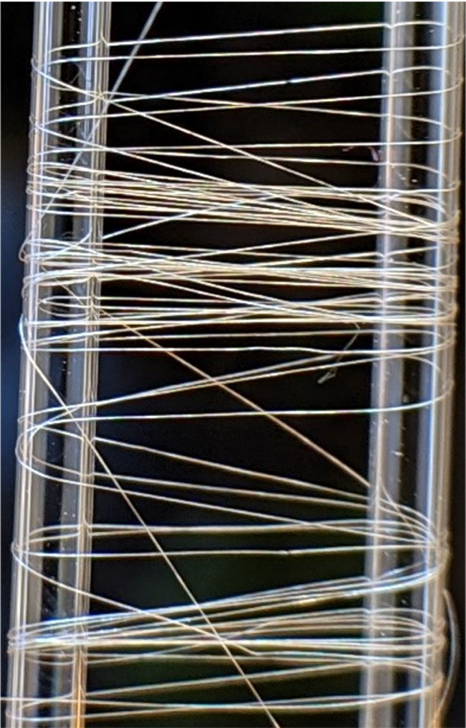 a bundle of spider silk fibers