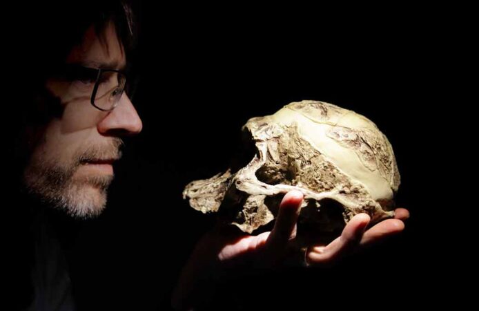 a photo of a bearded man in profile examining a A. Africanus skull held up to eye level, the man and the skull are well lit and the rest of the photo is dark