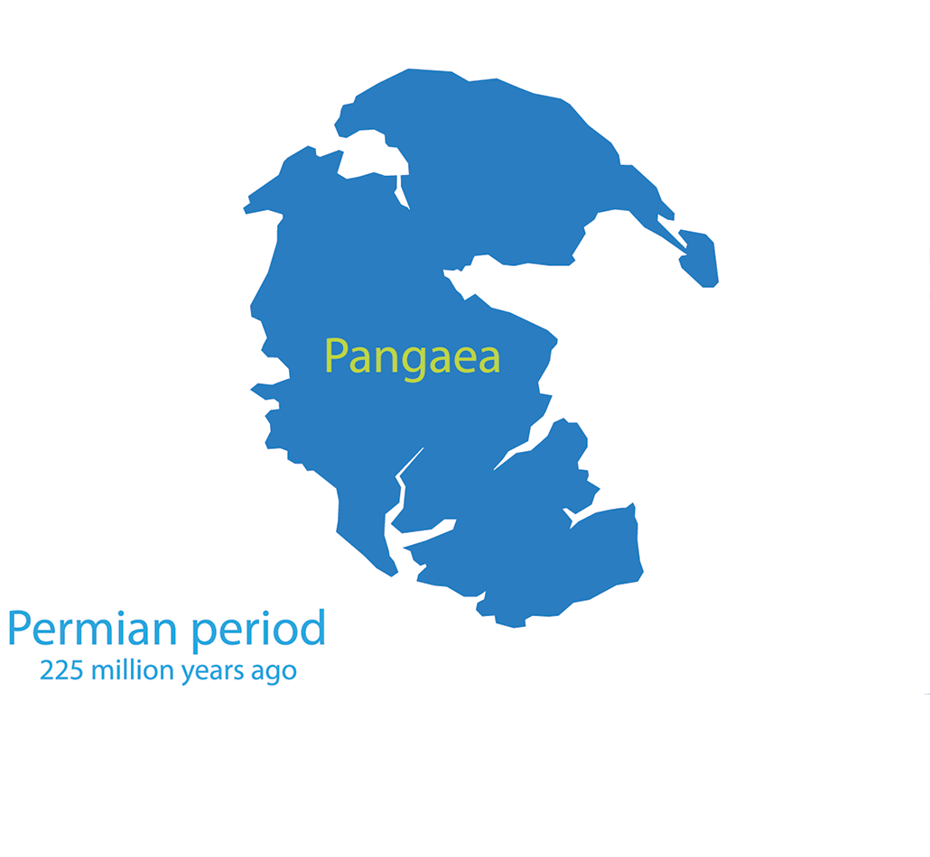 an illustration of Pangea