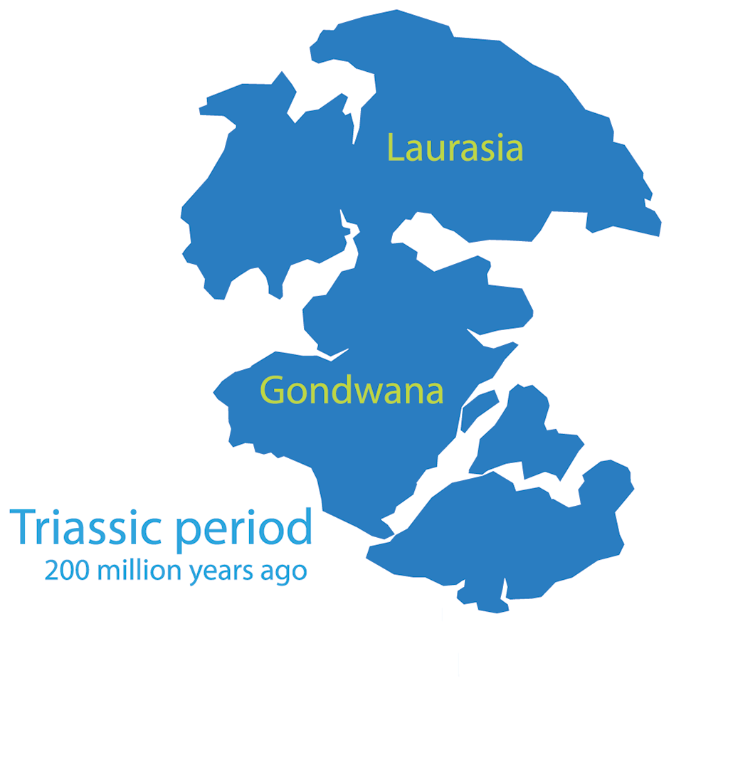 an illustration of continent location during the Triassic period