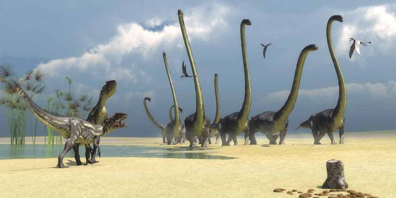a herd of sauropods, two hungry carnivores and some flying reptiles mill around on sand