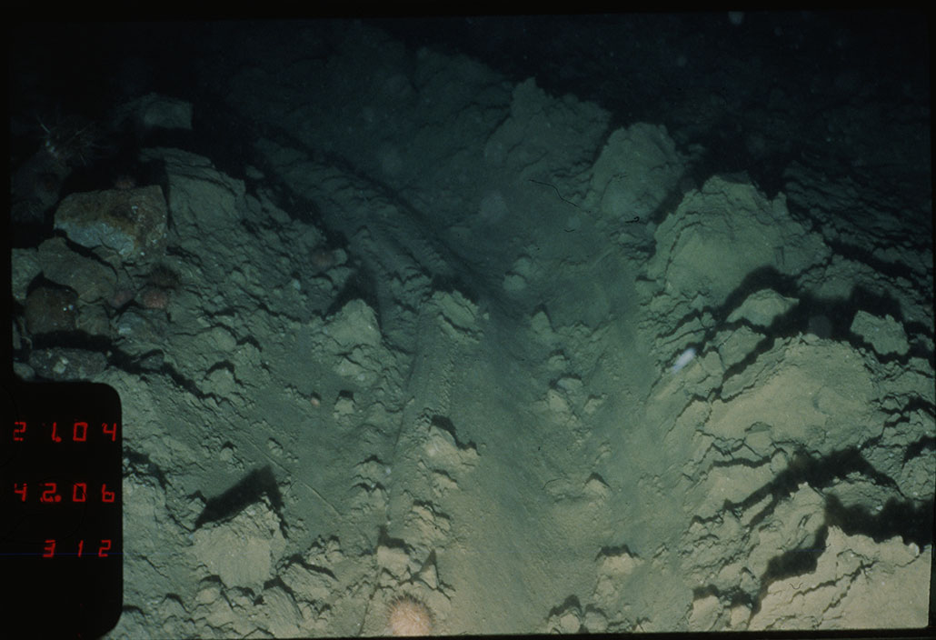 a photo of the ocean floor where an iceberg has dragged along the bottom and created a furrow