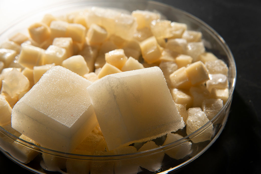 a petri dish full of cooling cubes