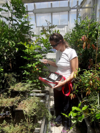 a researcher in a greenhouse