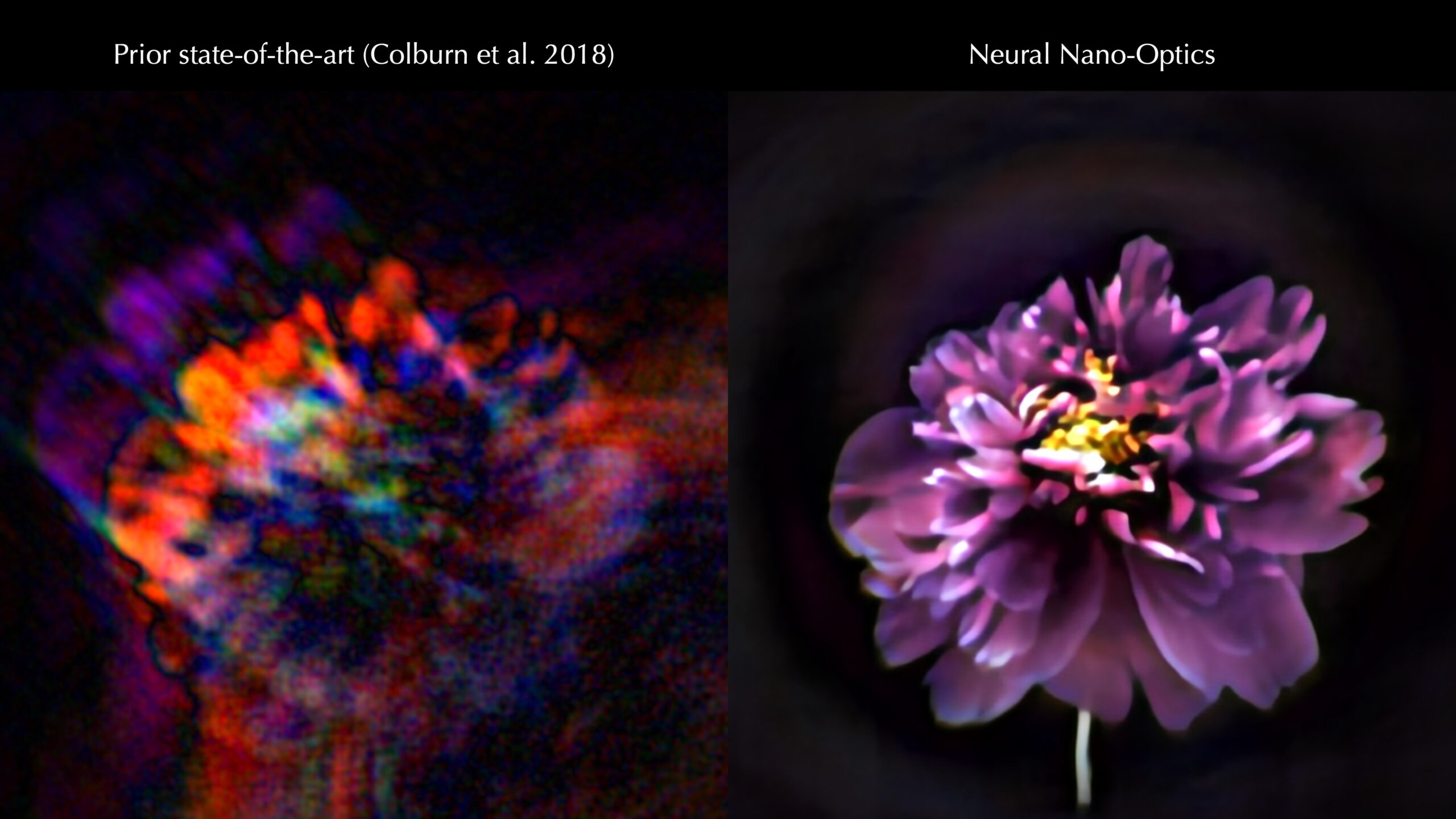 a blurry image of a flower taken by a previous mini camera is contrasted with the clear image of the flower taken by the new camera