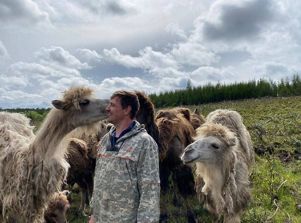 A man wearing a coat stands among a group of camels in the middle of a field; one of the camels is licking his face