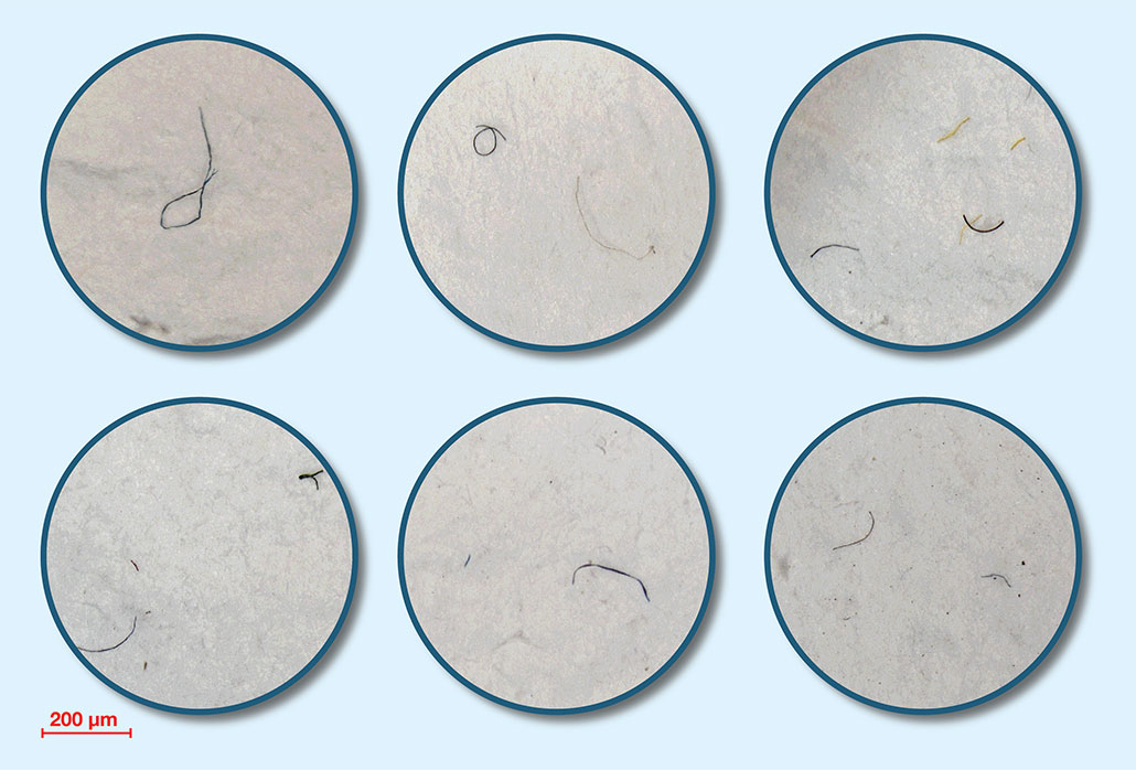 six microscopic images showing collected microfibers