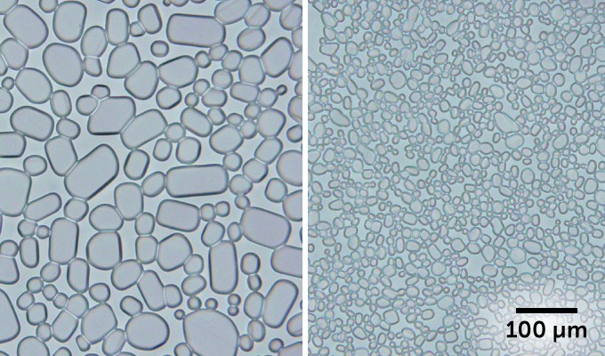 microscope images of large ice crystal growth compared to small ice crystal growth