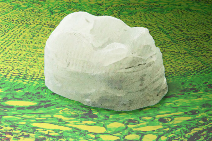 a whiteish green material roughly shaped like a tooth