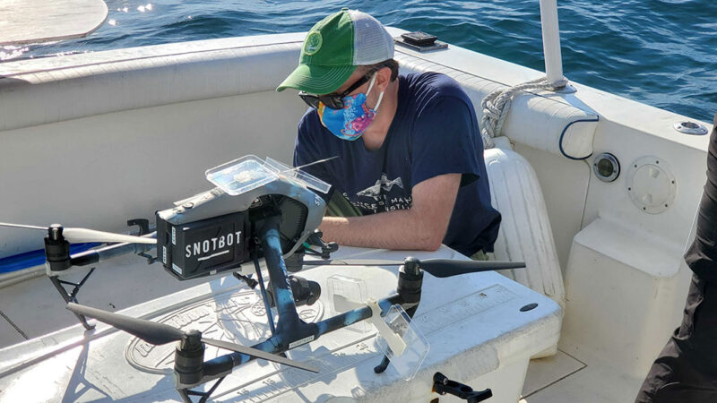 a scientist on a boat removes whale snot from a drone
