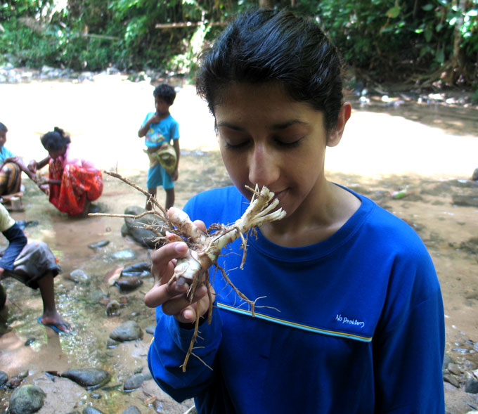 Asifa Majid smelling ginger