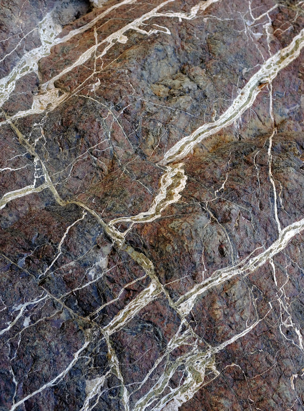 a close up view of white carbonate veins running through brown and green rock