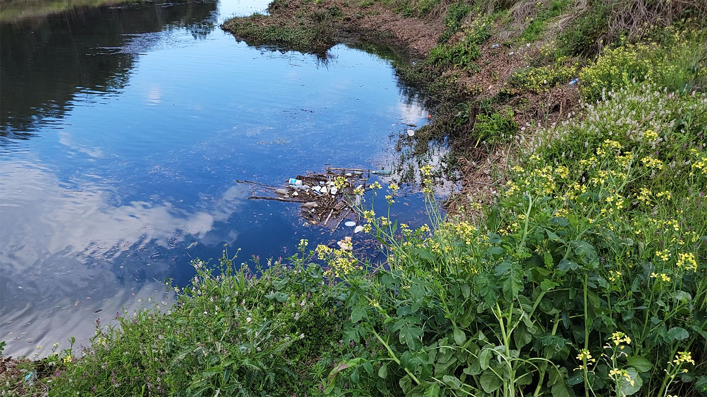 A photo of a creek shows clear, blue water flowing between banks of green grass