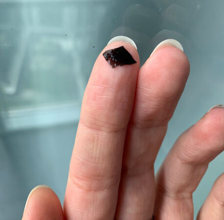 una foto de un pequeño parche en forma de diamante negro en la punta de un dedo