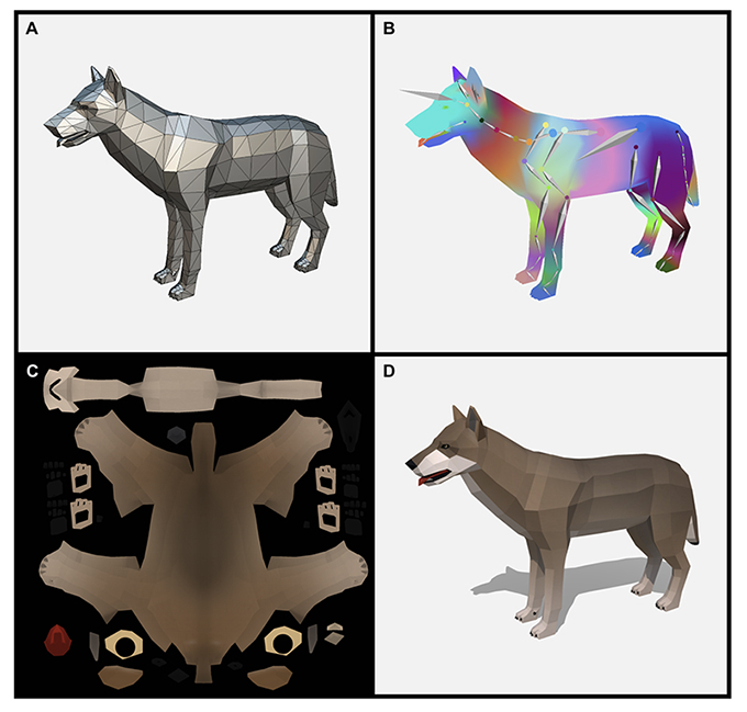 a composite image showing how the 3D model evolved over time