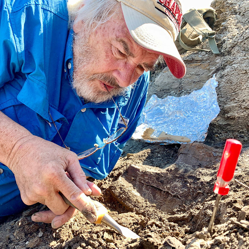 Jack Horner unearthing a fossil